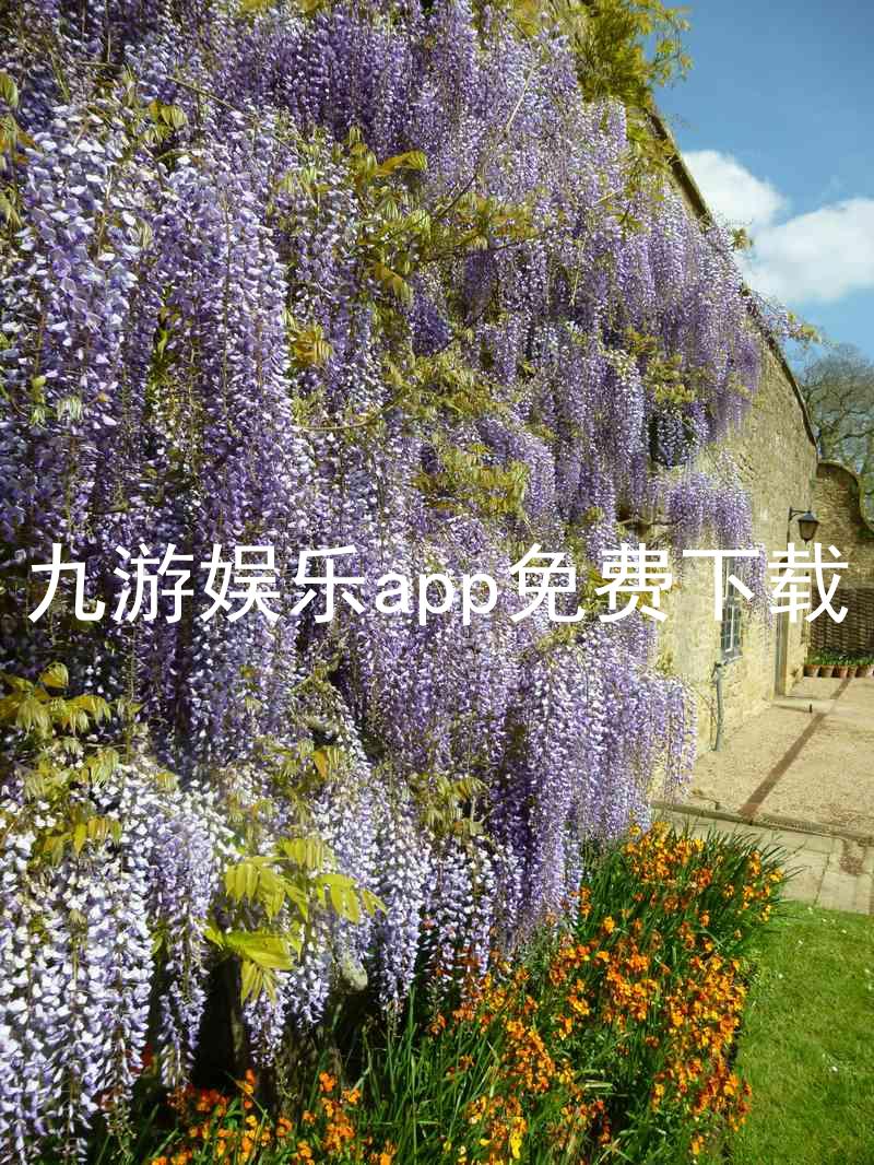 九游娱乐app免费下载